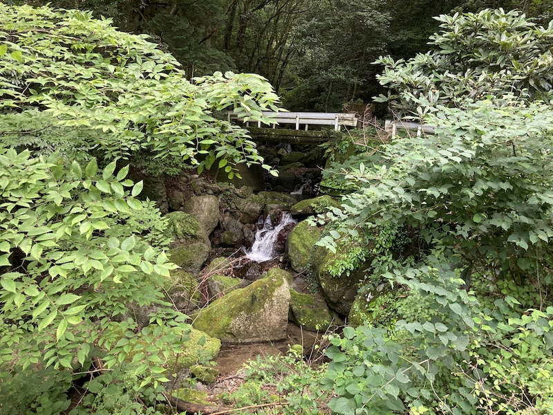 f:id:dachikusakun:20210620174747j:plain