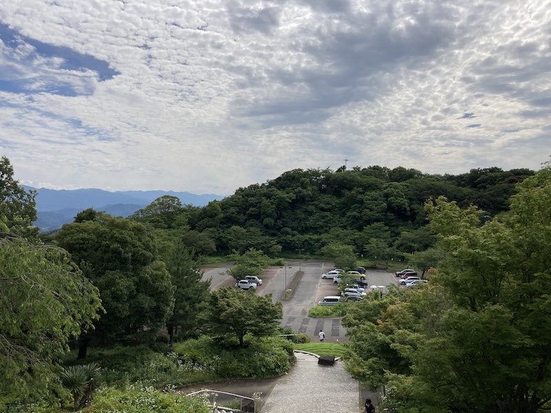 f:id:dachikusakun:20210620174822j:plain