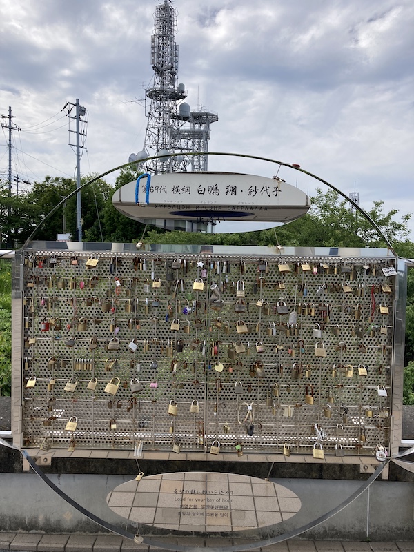 f:id:dachikusakun:20210620174914j:plain