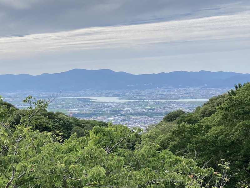 f:id:dachikusakun:20210620175026j:plain