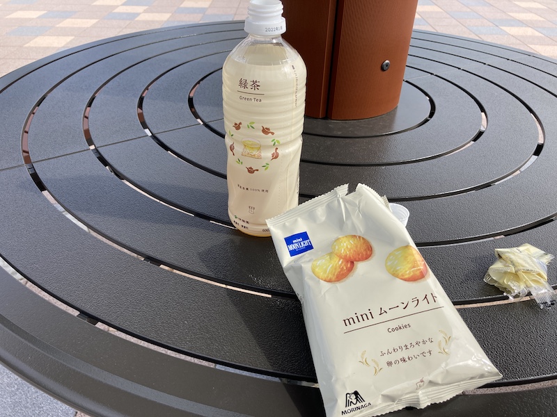 f:id:dachikusakun:20210620175118j:plain