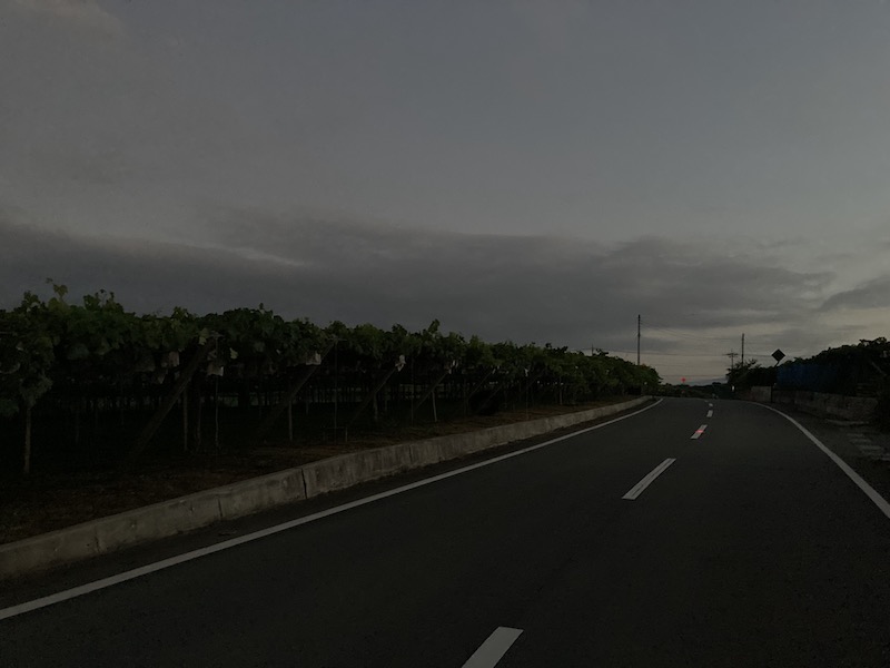 f:id:dachikusakun:20210813170941j:plain