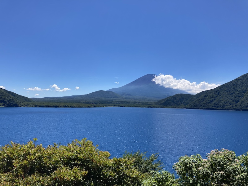 f:id:dachikusakun:20210813171032j:plain