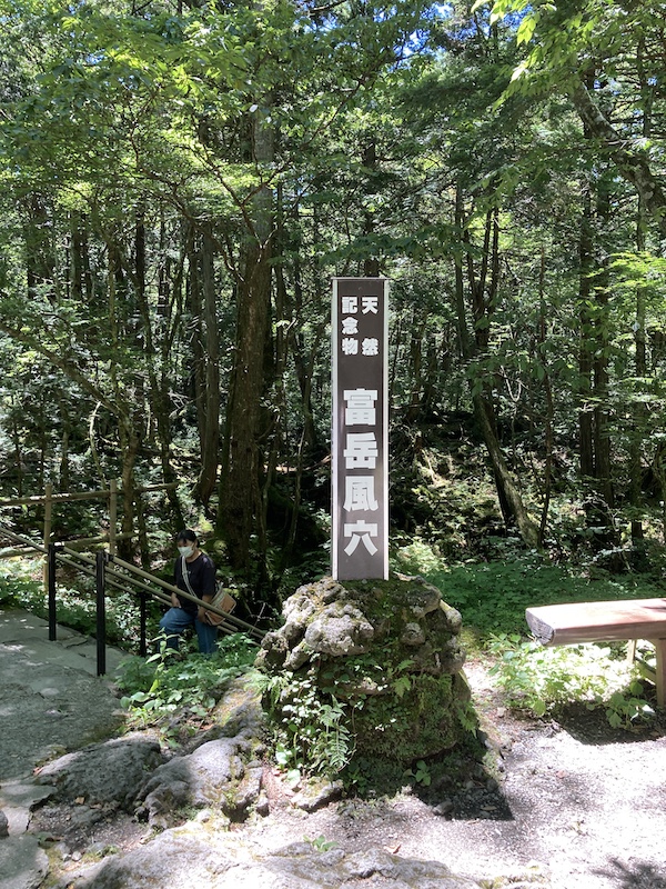 f:id:dachikusakun:20210813171053j:plain