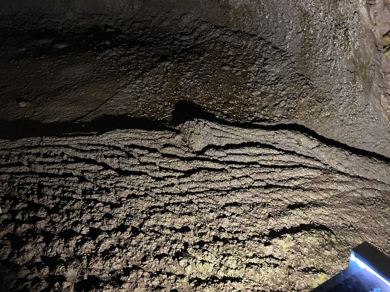 f:id:dachikusakun:20210813171058j:plain