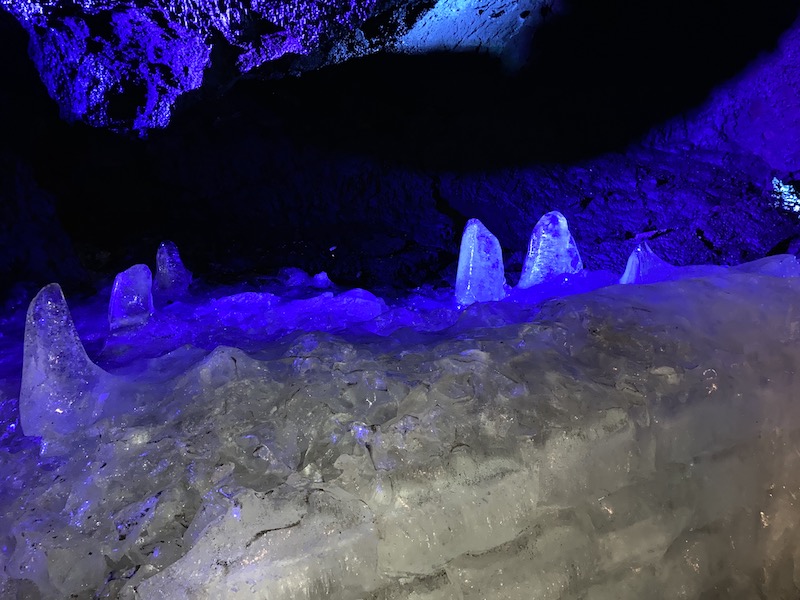 f:id:dachikusakun:20210813171114j:plain