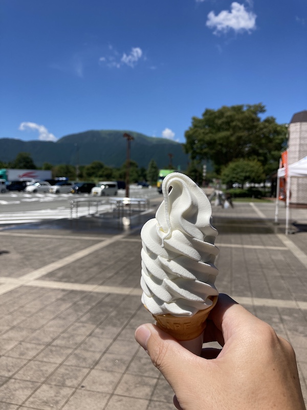 f:id:dachikusakun:20210813171122j:plain