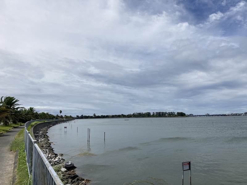 f:id:dachikusakun:20210813173154j:plain