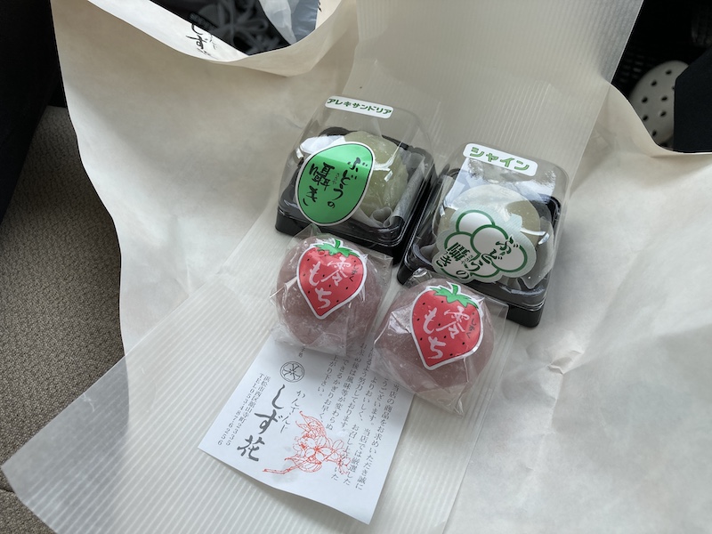 f:id:dachikusakun:20210813173238j:plain