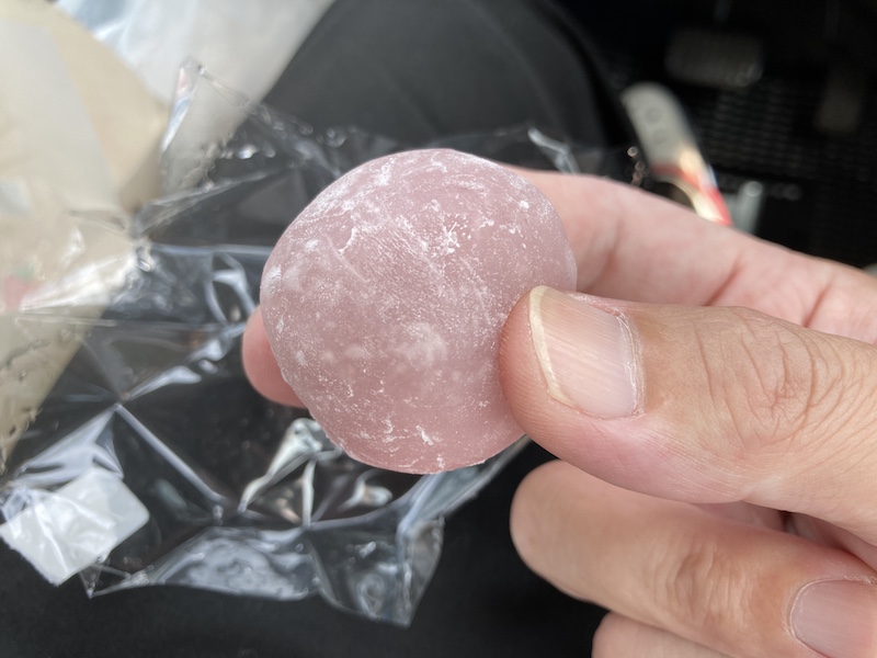 f:id:dachikusakun:20210813173246j:plain