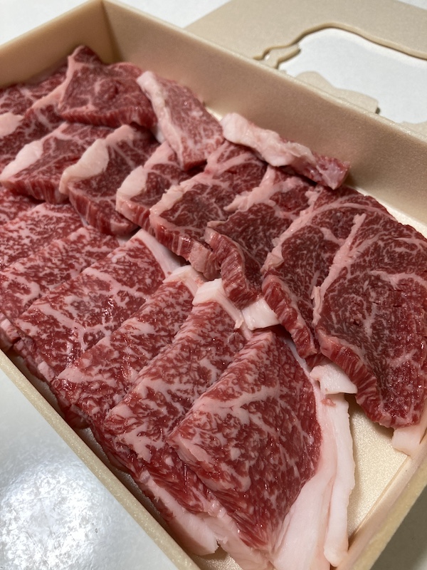 f:id:dachikusakun:20210813175154j:plain