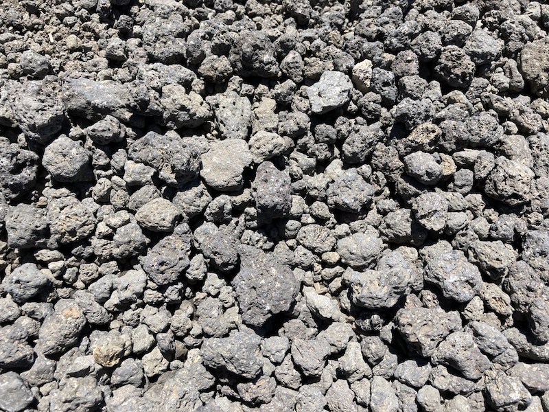 f:id:dachikusakun:20210818130757j:plain