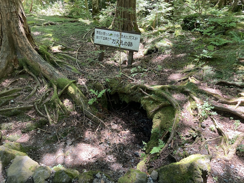 f:id:dachikusakun:20210818130803j:plain