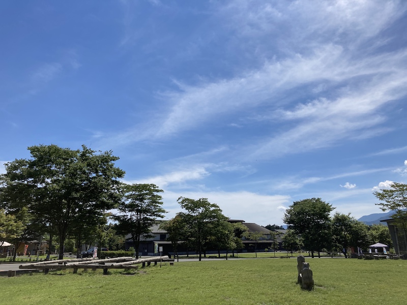 f:id:dachikusakun:20210819003704j:plain