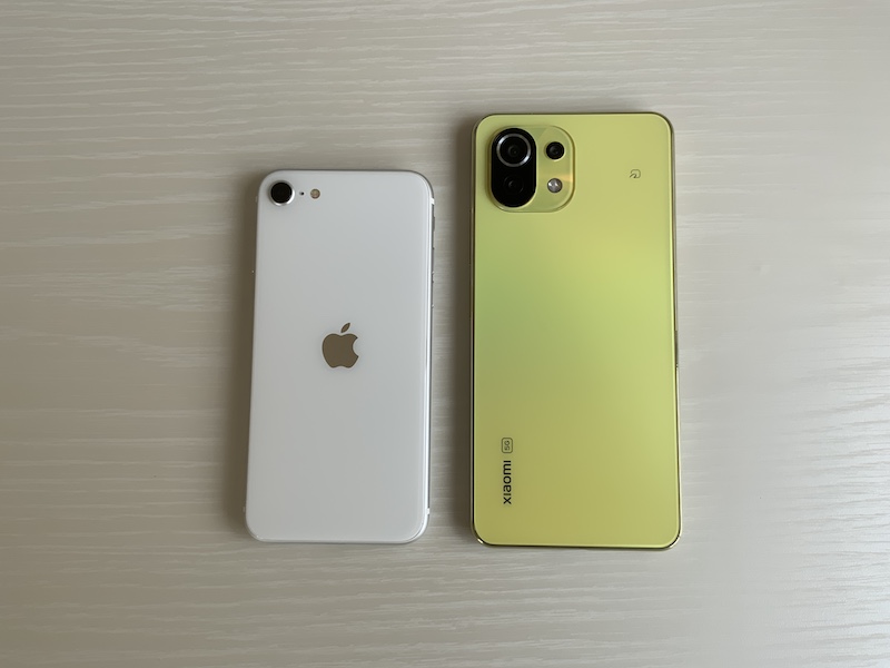 f:id:dachikusakun:20210823101242j:plain