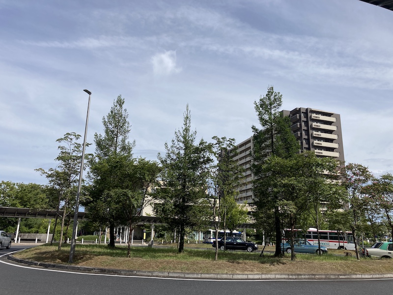 f:id:dachikusakun:20210826144317j:plain