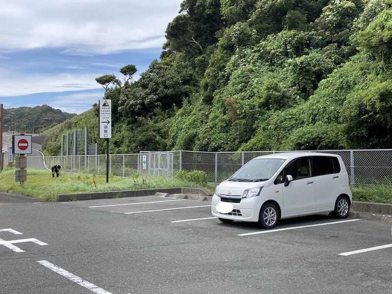 f:id:dachikusakun:20210826145015j:plain