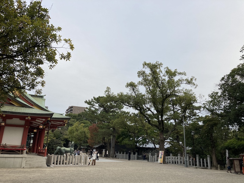 f:id:dachikusakun:20211120123935j:plain