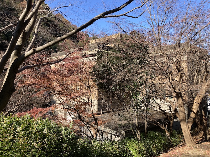 f:id:dachikusakun:20211216113823j:plain