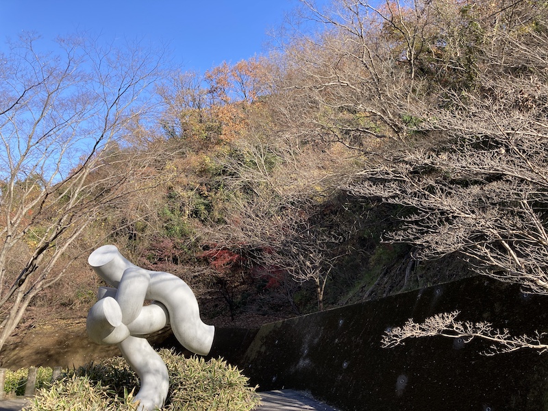 f:id:dachikusakun:20211216113826j:plain