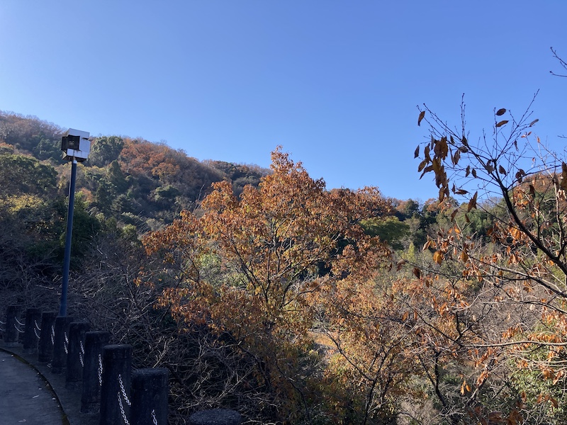 f:id:dachikusakun:20211216113837j:plain