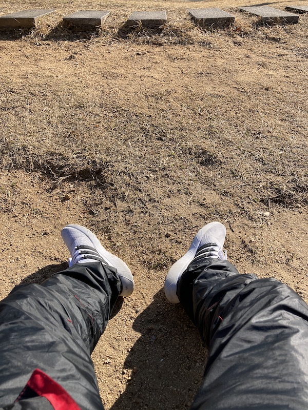 f:id:dachikusakun:20211216113854j:plain