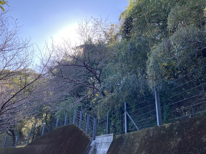 f:id:dachikusakun:20211216113913j:plain