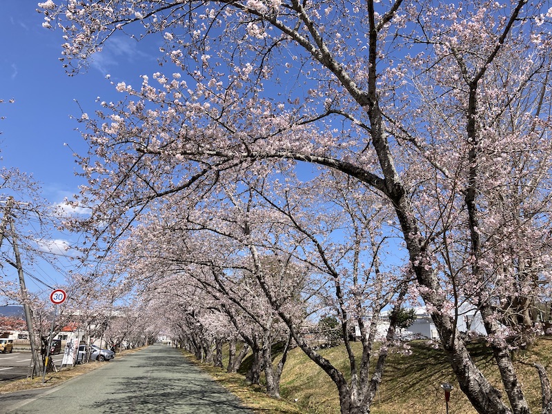 f:id:dachikusakun:20220327231229j:plain