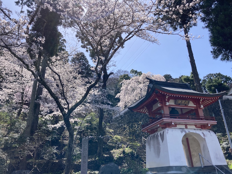 f:id:dachikusakun:20220327231305j:plain