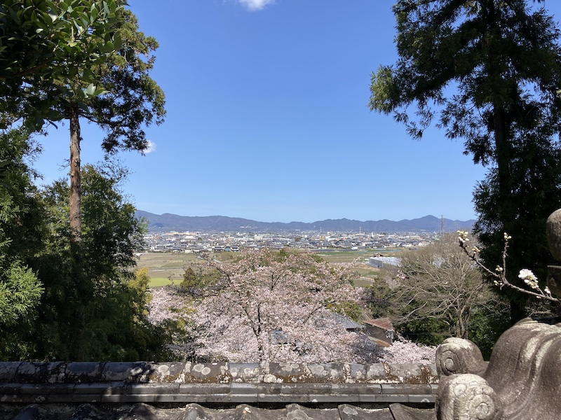 f:id:dachikusakun:20220327231319j:plain