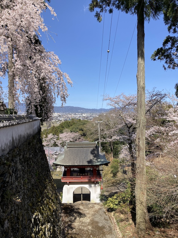 f:id:dachikusakun:20220327231333j:plain