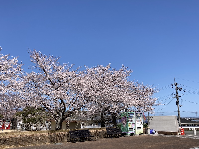 f:id:dachikusakun:20220327231337j:plain