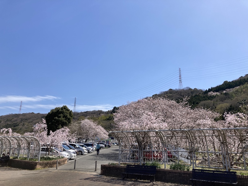 f:id:dachikusakun:20220327231347j:plain