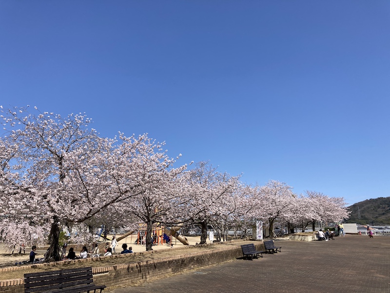 f:id:dachikusakun:20220327231350j:plain