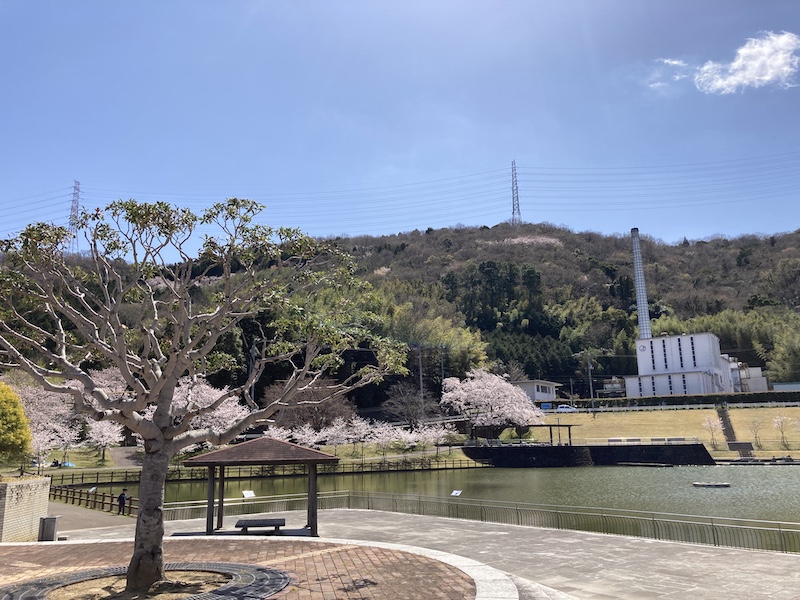 f:id:dachikusakun:20220327231354j:plain