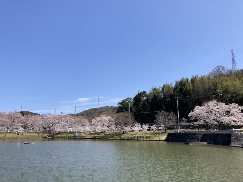 f:id:dachikusakun:20220327231358j:plain