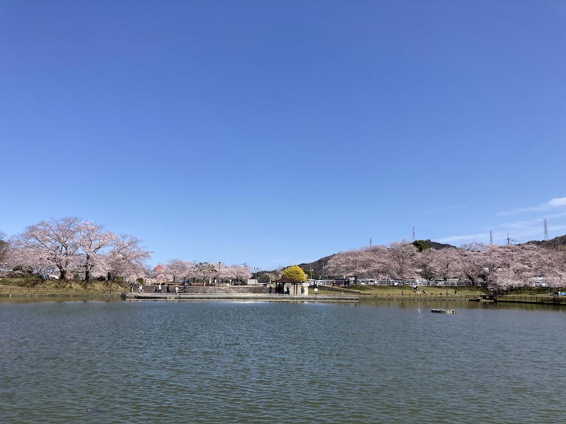 f:id:dachikusakun:20220327231401j:plain