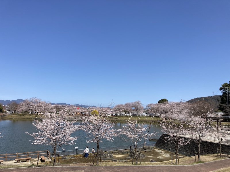 f:id:dachikusakun:20220327231412j:plain