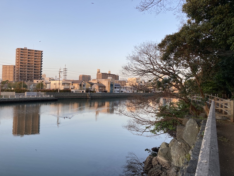 f:id:dachikusakun:20220327231434j:plain