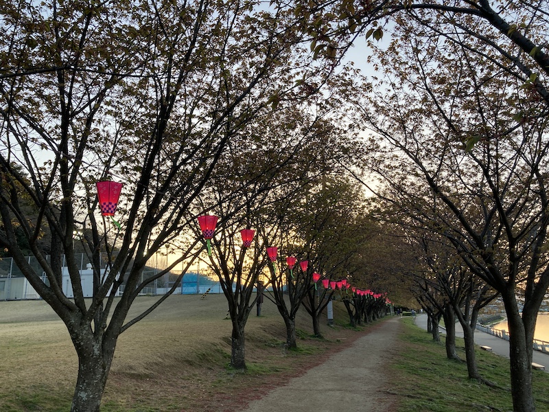 f:id:dachikusakun:20220327231437j:plain