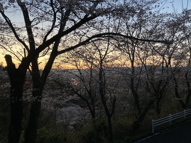 f:id:dachikusakun:20220327231440j:plain