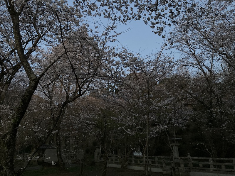 f:id:dachikusakun:20220327231444j:plain