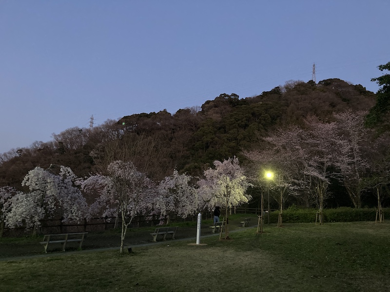 f:id:dachikusakun:20220327231447j:plain