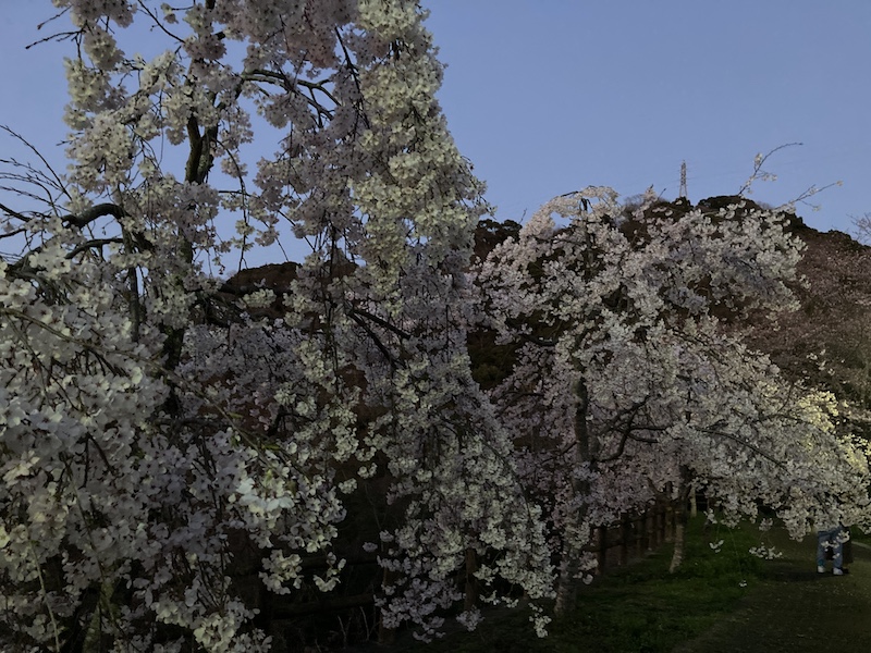 f:id:dachikusakun:20220327231451j:plain