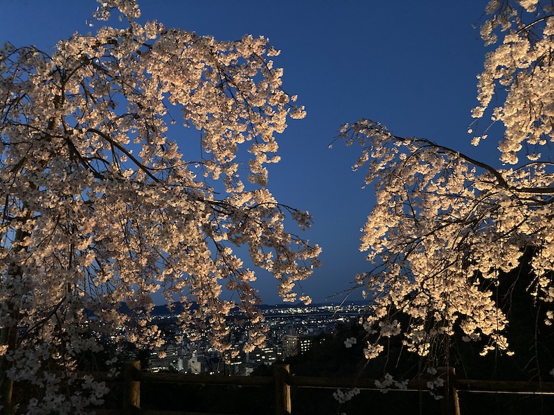 f:id:dachikusakun:20220327231505j:plain