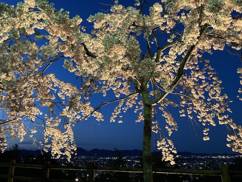 f:id:dachikusakun:20220327231509j:plain