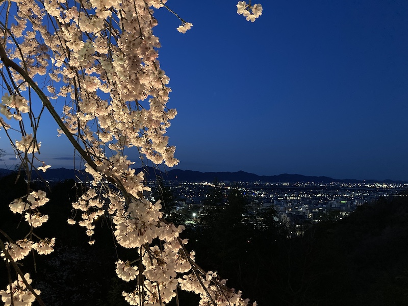 f:id:dachikusakun:20220327231515j:plain