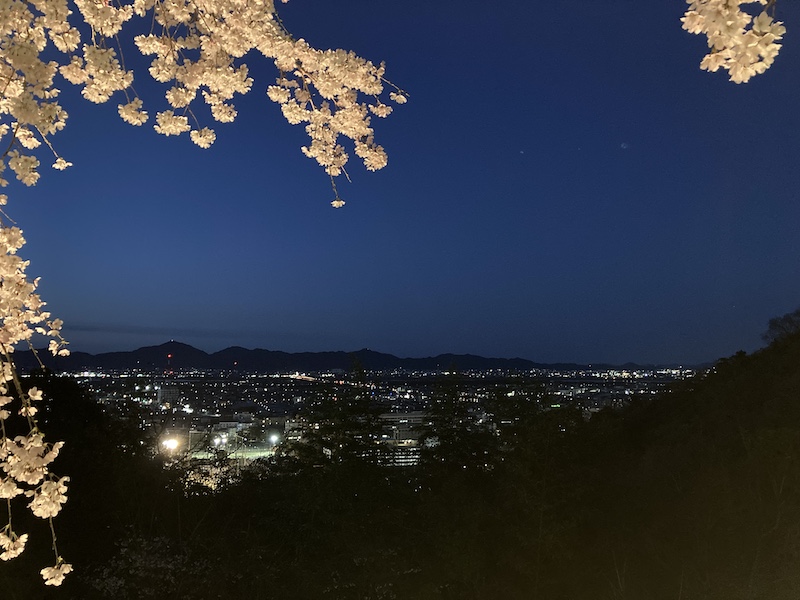 f:id:dachikusakun:20220327231526j:plain