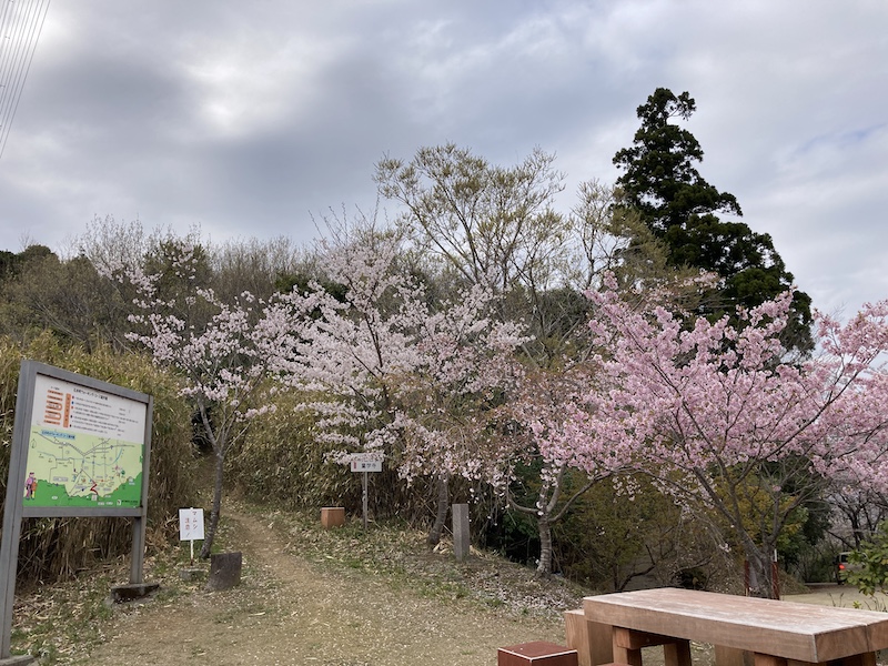 f:id:dachikusakun:20220403165914j:plain