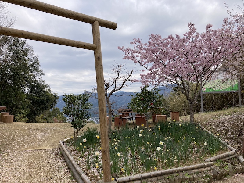 f:id:dachikusakun:20220403165932j:plain